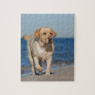 Gele labrador recovery op het strand legpuzzel