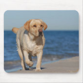 Gele labrador recovery op het strand muismat (Voorkant)