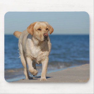 Gele labrador recovery op het strand muismat