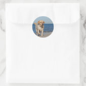 Gele labrador recovery op het strand ronde sticker (Tas)