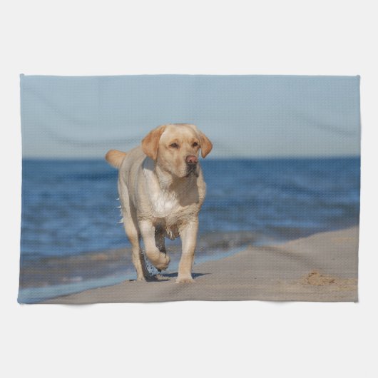 Gele labrador recovery op het strand theedoek (Horizontaal)