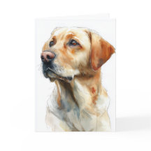 Gele labrador retriever aquarel