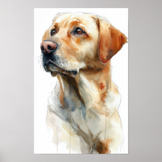 Gele labrador retriever aquarel poster (Voorkant)