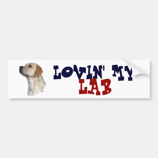 Gele Labrador Retriever bumpersticker (Voorkant)