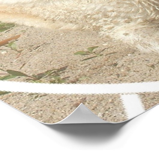 Gele Labrador Retriever Dog Poster (Hoek)