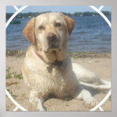 Gele Labrador Retriever Dog Poster (Voorkant)