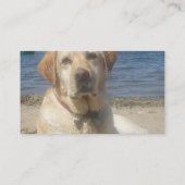 Gele Labrador Retriever Dog Visitekaartje (Achterkant)