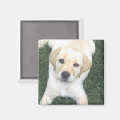 Gele Labrador Retriever ijskast magneet (Voorkant / Achterkant)