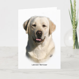gele labrador retriever kaart
