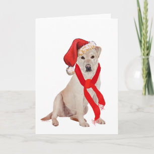 Gele Labrador Retriever Kerstmis Feestdagen Kaart