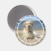 Gele Labrador Retriever Magnet (Voorkant / Achterkant)