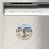 Gele Labrador Retriever Magnet (Insitu (Vaatwasser))