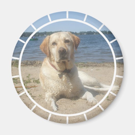 Gele Labrador Retriever Magnet (Voorkant)