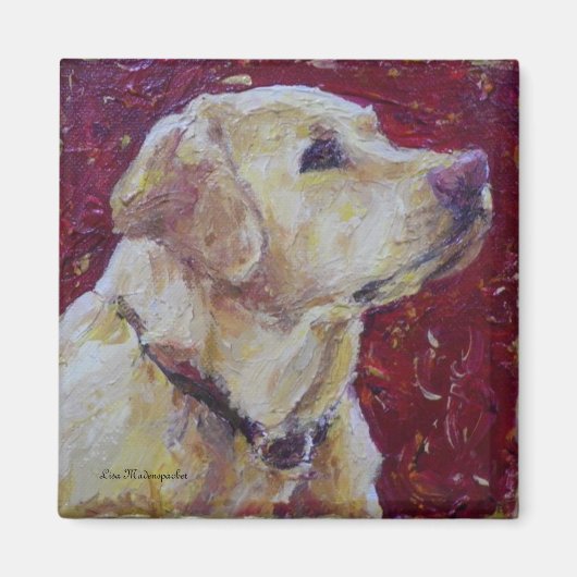 Gele Labrador Retriever Magnet (Voorkant)