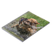 Gele labrador retriever met eend notitieboek (Linkerzijde)