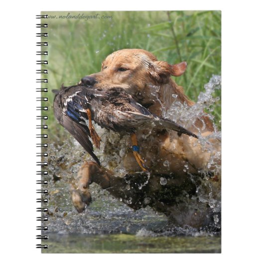Gele labrador retriever met eend notitieboek (Voorkant)