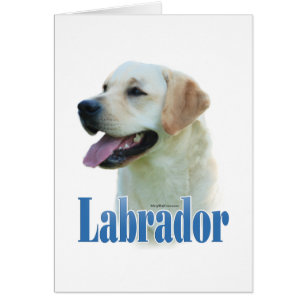 gele labrador retriever naam