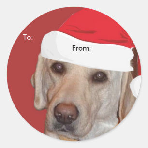 Gele labrador retriever naar/van astasstickers ronde sticker