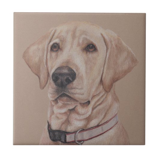 Gele labrador Retriever Pet Dog Art keramische teg Tegeltje (Voorkant)