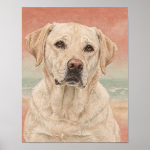 Gele Labrador Retriever Portret in Koraal en Sa Poster