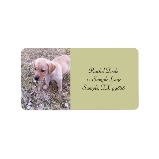 Gele Labrador Retriever Puppy Adresetiketten Etiket (Voorkant)