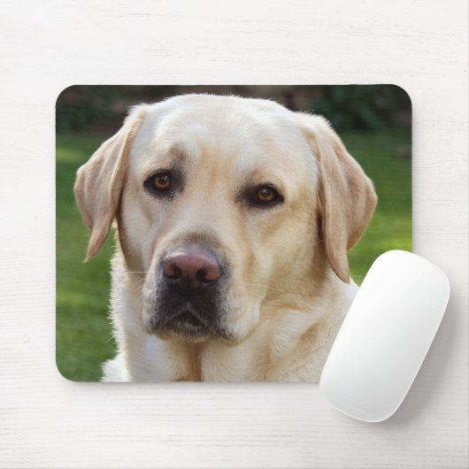 Gele labrador Retriever Puppy Dog - Geel Laborator Muismat (Met muis)