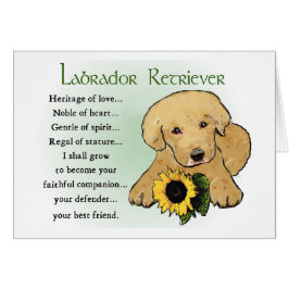 Gele Labrador Retriever Puppy Gifts