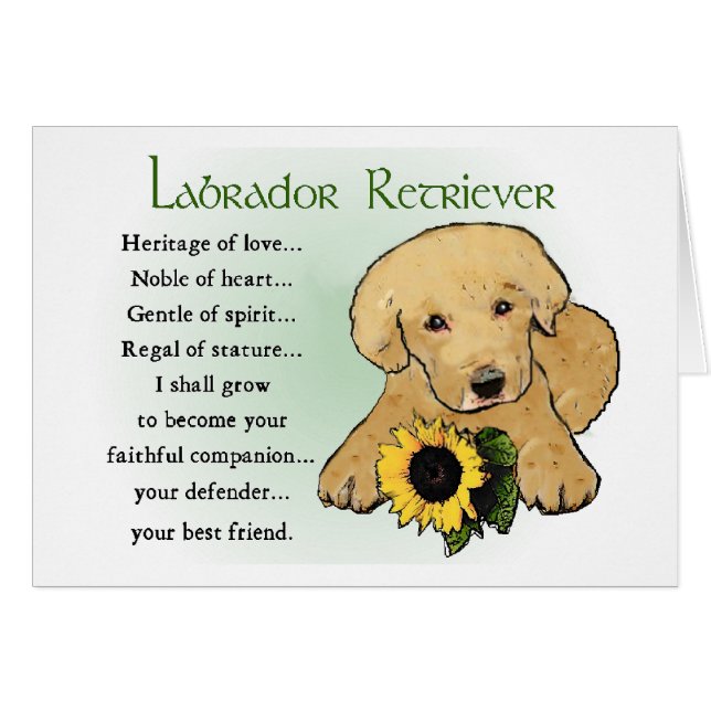 Gele Labrador Retriever Puppy Gifts (Voorkant Horizontaal)