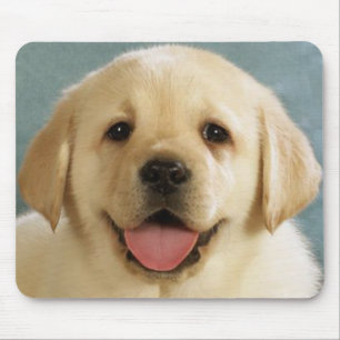 Gele Labrador Retriever Puppy Hond Love Muismat