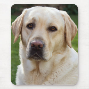 Gele Labrador Retriever Puppy Hond Muismat