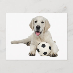 Gele Labrador Retriever Puppy Hond Prentbrief Briefkaart
