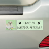 Gele labrador Retriever & Tennis Balls Painting Bumpersticker (Op auto)