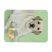 Gele labrador Retriever & Tennis Balls Painting Magneet (Horizontaal)