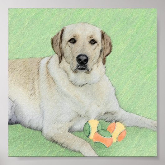 Gele labrador Retriever & Tennis Balls Painting Poster (Voorkant)