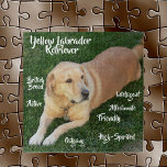 Gele Labrador Retriever Traits Game Legpuzzel<br><div class="desc">Mooie puzzel heeft een gele Labrador Retriever,  een populaire hond in Amerika! Ze houden van water,  ophalen,  rennen en spelen! Sommige van hun eigenschappen zijn extravert,  actief,  aanhankelijk met familie,  hoogmoedig en meer. De Labrador Retriever is een Brits ras.</div>