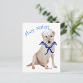 Gele Labrador Retriever Zeiler Briefkaart (Staand voorkant)