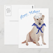 Gele Labrador Retriever Zeiler Briefkaart (Voorkant / Achterkant)