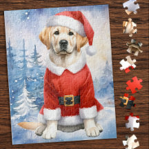 Gele labrador - Sneeuwhond - Geel lab
