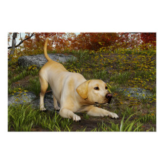 Gele Labrador Speel Boog in Herfst Bossen Perfect Poster