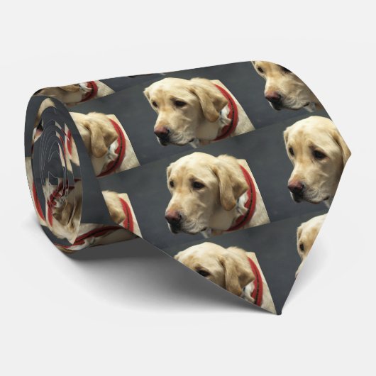 gele labrador stropdas (Opgerold)