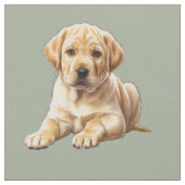 Gele Labradors Retriever Hond Stof (Close Up)