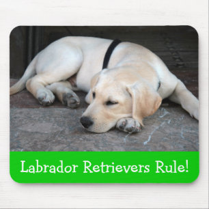 Gele Labradors Retriever Puppy Hond Muismat