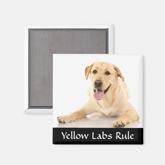 Gele Labs Regel "Labrador Retriver" Magneet (Voorkant / Achterkant)