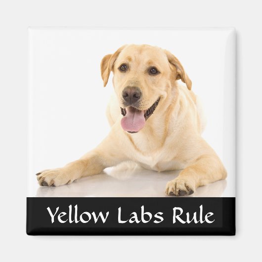 Gele Labs Regel "Labrador Retriver" Magneet (Voorkant)