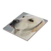 gele labtegel tegeltje (Zijkant)