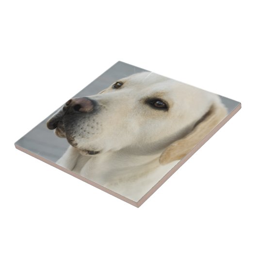 gele labtegel tegeltje (Zijkant)