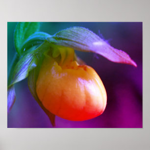 Gele Lady Slipper Orchidee Bloem Getint Poster