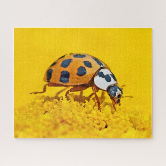 Gele ladybird, Gigzaag Puzzle Legpuzzel (Horizontaal)