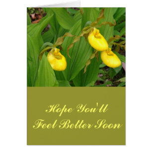 "GELE LADYSLIPPERS" /BLOEMENFOTO