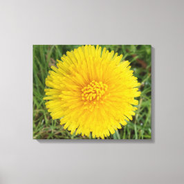 Gele lauw canvas afdrukken